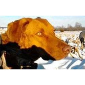 Callierose Johnson-sigler's photo