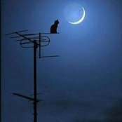 Dena Benoit's photo