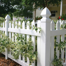 Fence
