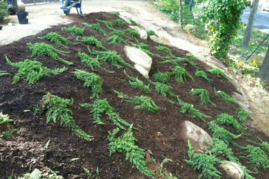 Inspiration for an asian landscaping in New York.