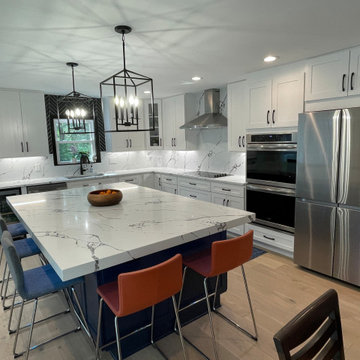 Full House Remodel in Vienna, VA