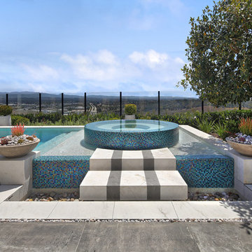 Custom Elevated Spa & Modern Pool