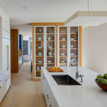 Modern White Kitchen with Induction Cooktop and Glass Front Cabinets