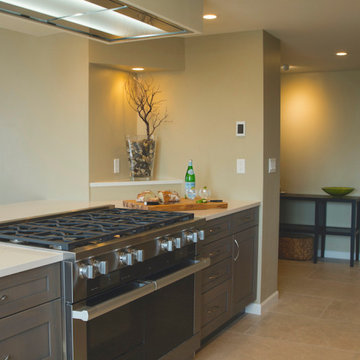 Downtown Seattle Penthouse Kitchen Remodel