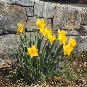 A Pop of Color
