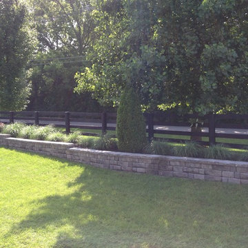 Juniper Forest