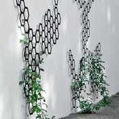 Metal Trellis
