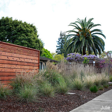 Lush Meadow- Classic Meets Contemporary