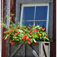 Shutters and window boxes