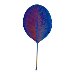 Chroma Leaf 2: 13 D - Fine Art Prints