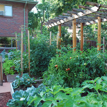 Vegetable garden