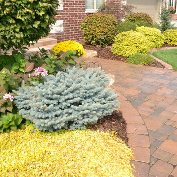 Front Foundation Plantings