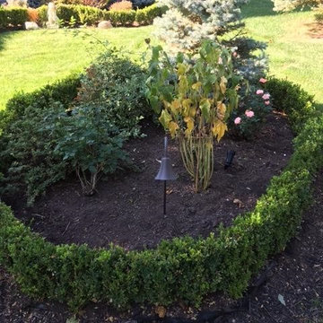 Before Photos of Our Landscape Lighting Projects