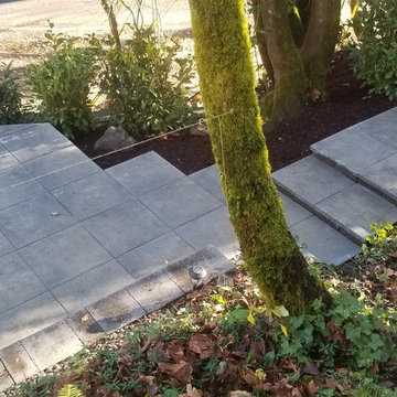 Hidden Patio Garden