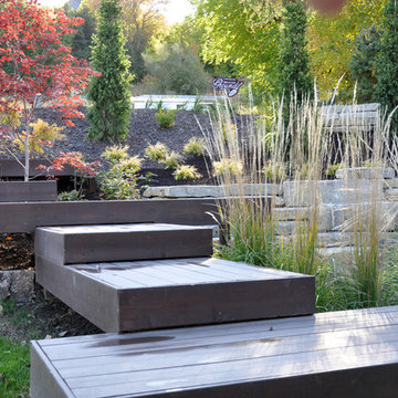 Modern Hillside Entry and Sculpture Garden