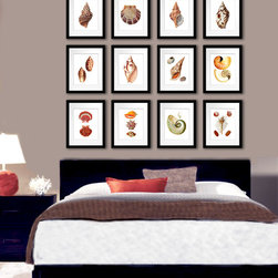 Seashells wall art for beach themed home decor - Products