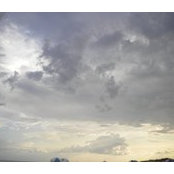 Karen Pellecchia's photo
