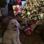 Sue Eirich's photo