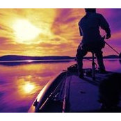 Wesley Andersen's photo