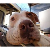 Angela MacDonald's photo