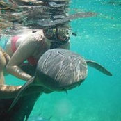 Stefanie Brooks's photo