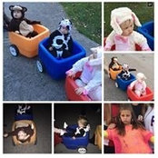 Kathy Roth's photo