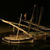 Lynne Hobbs's photo