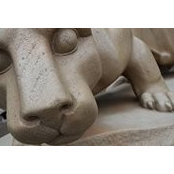 Judie Borucki's photo