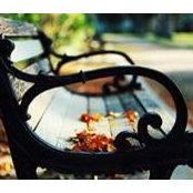 Shelly Huston Pace's photo
