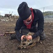 Ellen Sarri's photo