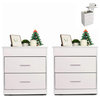 Modern Nightstand Set of 2 with Lift Top, Hidden Storage Compartment and 2Drawer