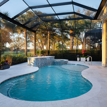 Lanai and Pool Remodel in Estero, FL