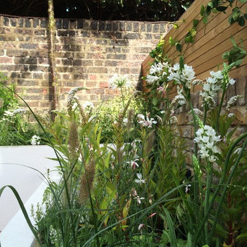 Chiswick Garden