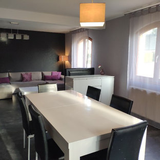 ストラスブールの中サイズのコンテンポラリースタイルのLDKの画像 (グレーの壁、暖炉なし、グレーの床)