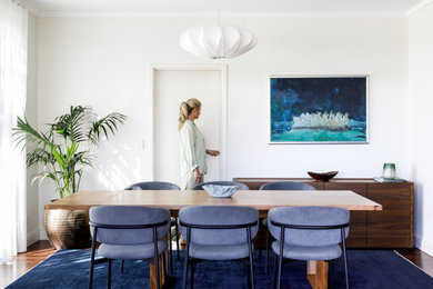 Inspiration for a mid-sized contemporary dining room in Perth with dark hardwood floors and blue floor.