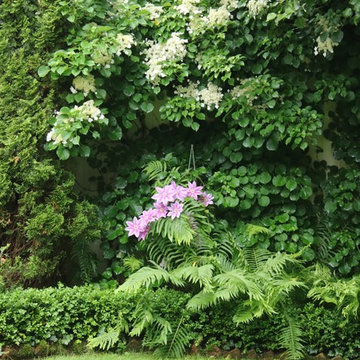 Rosebrook Gardens 2017 Garden Tour