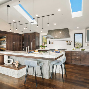 Solana Beach Modern Stunner