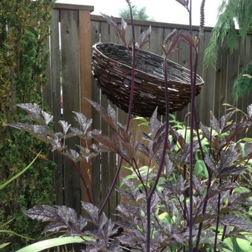 Plant Passion Garden