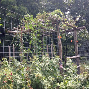 Fencing & Trellising