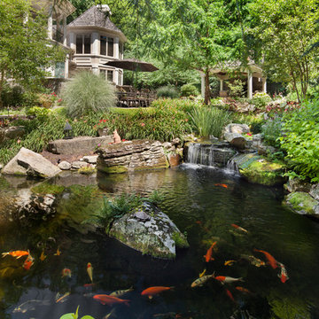 Natural Tranquility