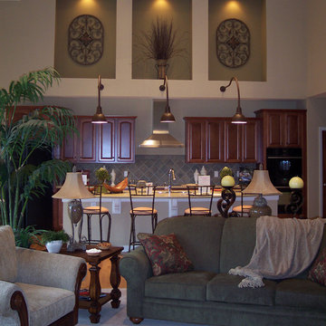 Open traditional Great room