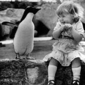 Shelli Fiordirosa's photo