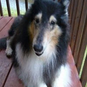 Alissa Beckett's photo
