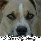 paula cochran's photo