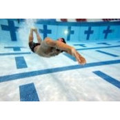 Andrew Wint's photo