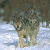 Paul Miller's photo