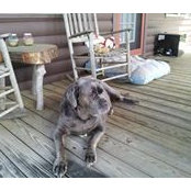 Melinda Beasley's photo