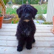 Sadie Finn Dignan's photo