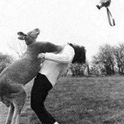 Travis Elmquist's photo
