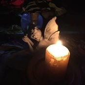 Wendy Wiersema's photo
